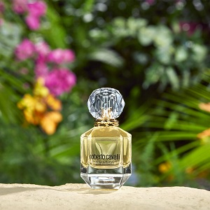 Paradiso by Roberto Cavalli - perfumes for women