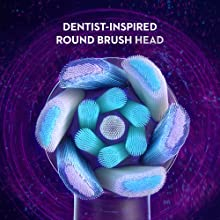 Dentist-inspired-round brush head