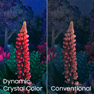 Dynamic Crystal Color vs. Conventional