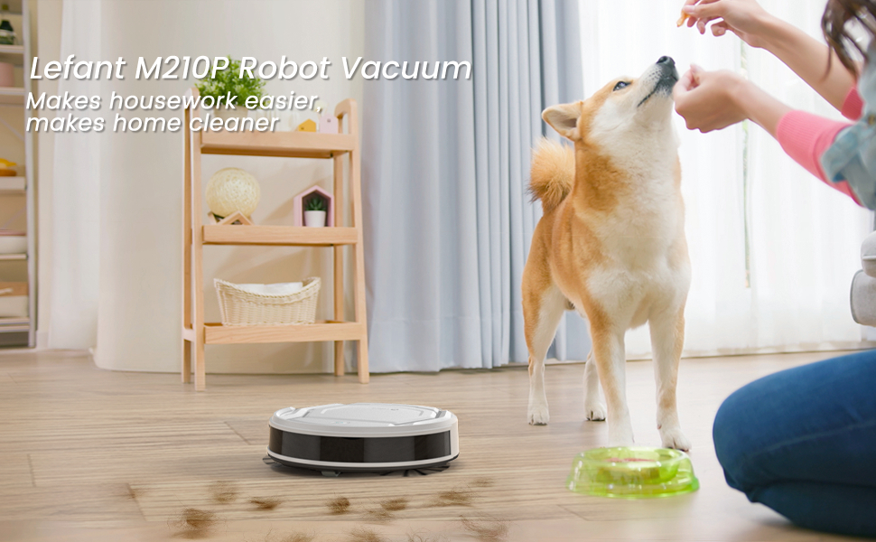 robot vacuums