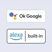 Google Assistant and Alexa compatible