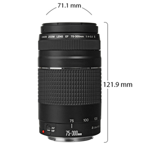 Canon EF 75-300mm f/4-5.6 III Telephoto Zoom Lens for Canon SLR Cameras